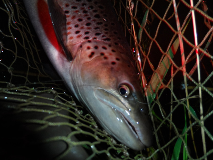 Towy sewin by red torch